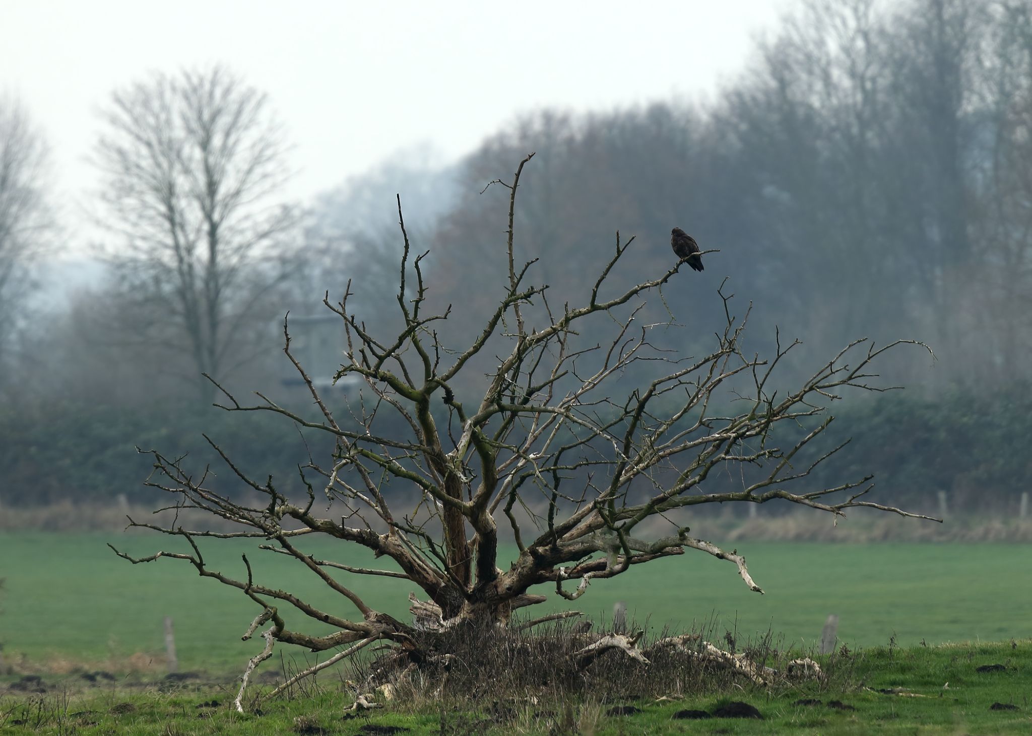 Feldflur bei der A20 am Flughafen Lübeck Blankensee