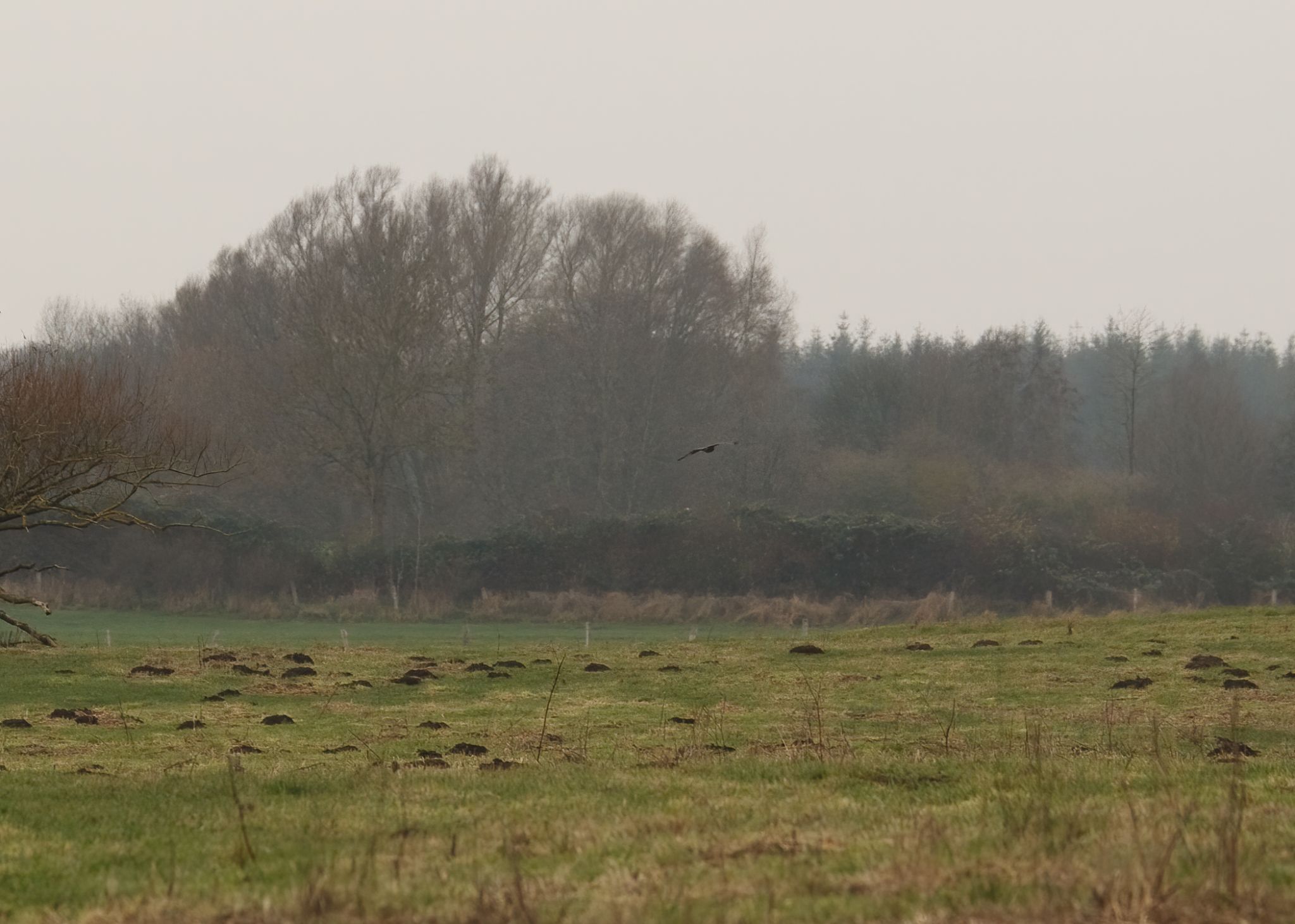 A20 Feldflur noerdlich Klein Sarau