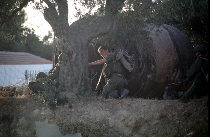 Isrealisch soldaten unter einem baum